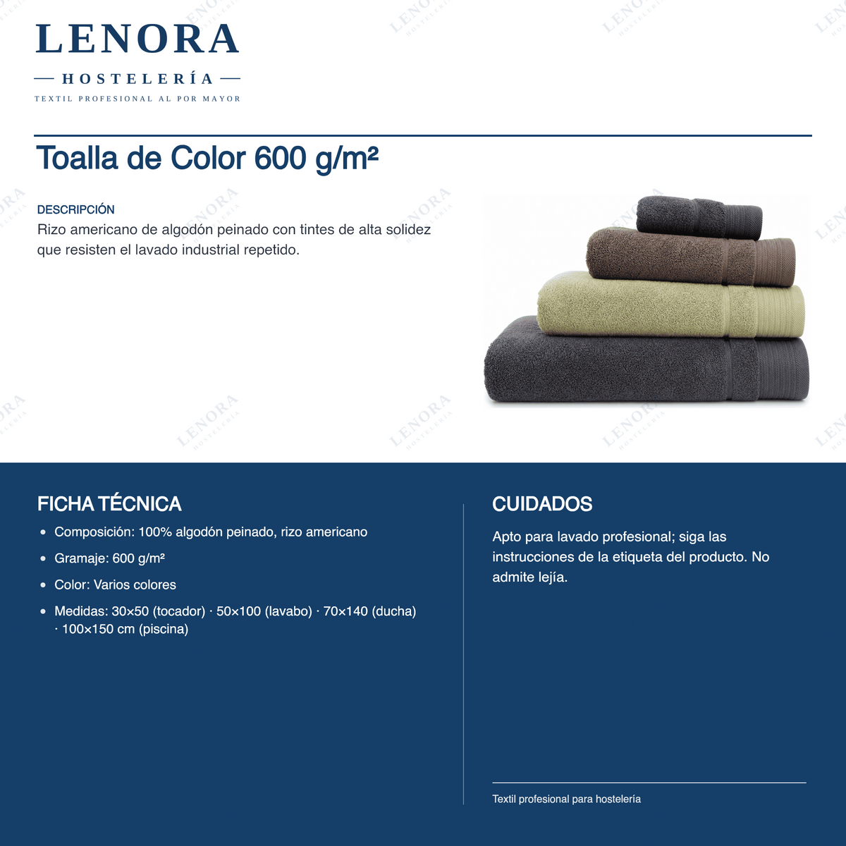 Ficha técnica de la toalla de color 600 g/m² en rizo americano