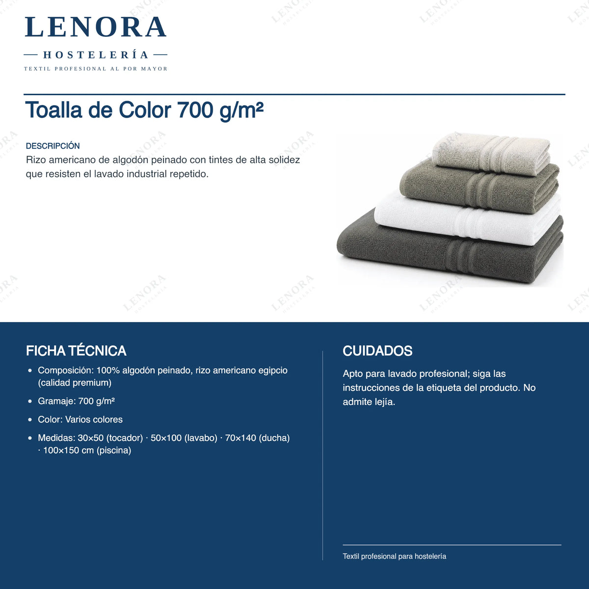 Ficha técnica de la toalla de color 700 g/m² en algodón egipcio premium